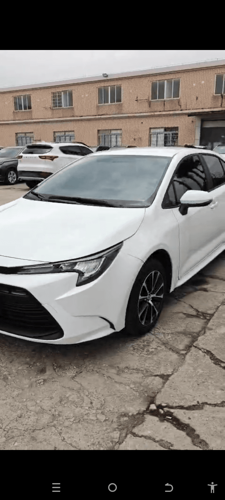 2023 Corolla
