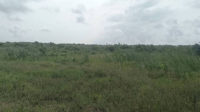 60 Plots Of Partly Dry Land For  Sale At Abijo  - Call 07011191079