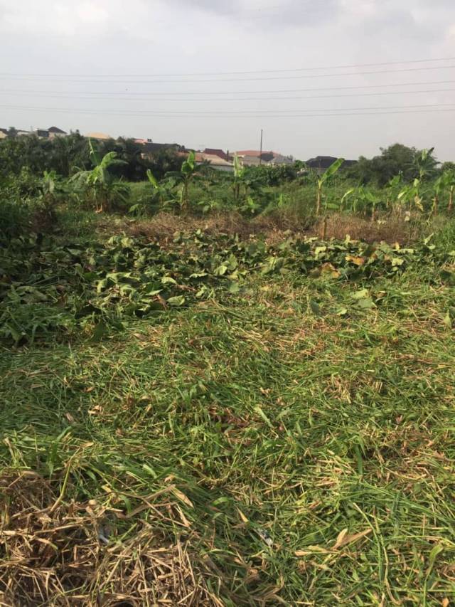 Half Plot Of Land For Sale At Okeira - Call 08140233971