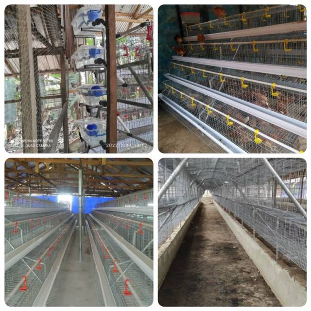 Poultry Equipments Available For Sale - Call 08072250946