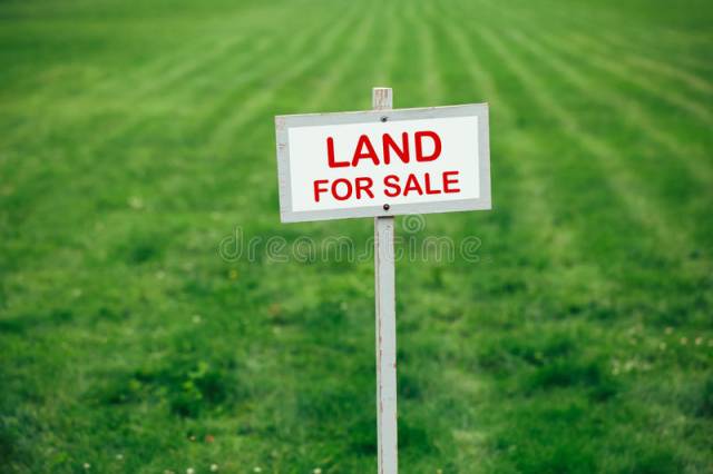 Agricultural Lands In Different Locations In Anambra - Call 08157561955