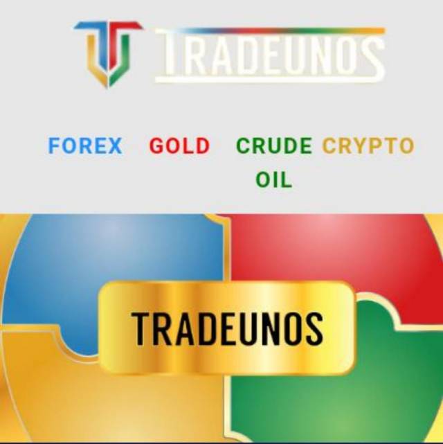 Make 1K USD  TO 50K USD Monthly -  JOIN OUR FREE 1 HOUR TRADEUNOS SEMINAR