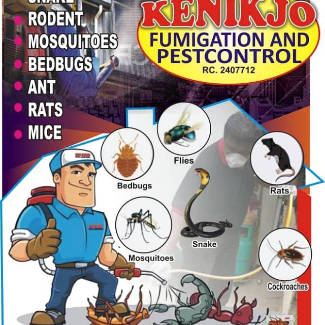 Fumigating Service At Kenikjo Fumigation And Pest Control - Call 08025706000