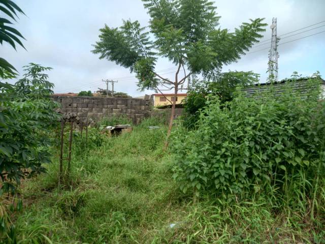 We Are Selling This 760sqm Land At New Oko Oba - Call 09088073963