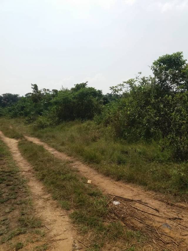 Massive Plots Of Land For Sale At Ikorodu -  08076504265