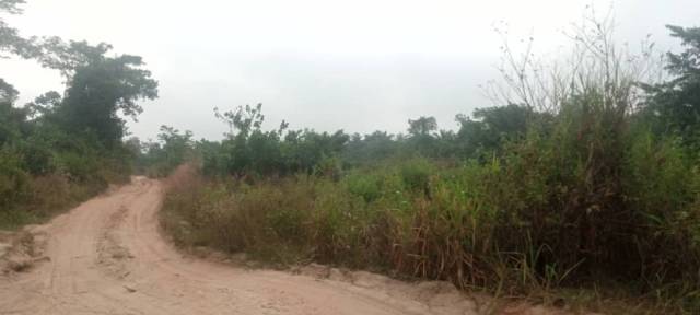 Land For Sale At Sagamu Interchange - CALL 07060600376