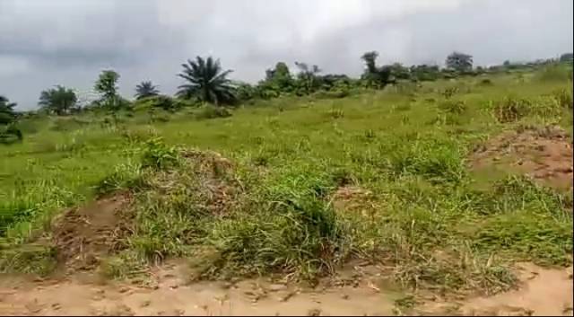 Lands Available For Sale At Rivers State University - Call 09068832511