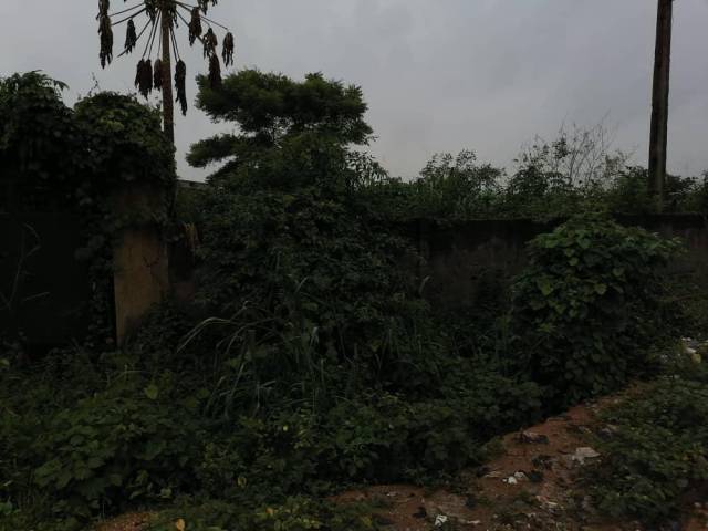 4 Plots Of Land For Sale At Magodo Phase 1 - Call 07038651108